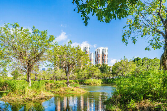 三亞市濕地公園城市住宅景觀