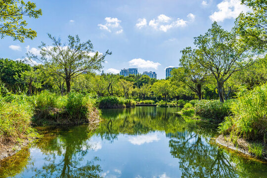 三亞市濕地公園城市住宅景觀