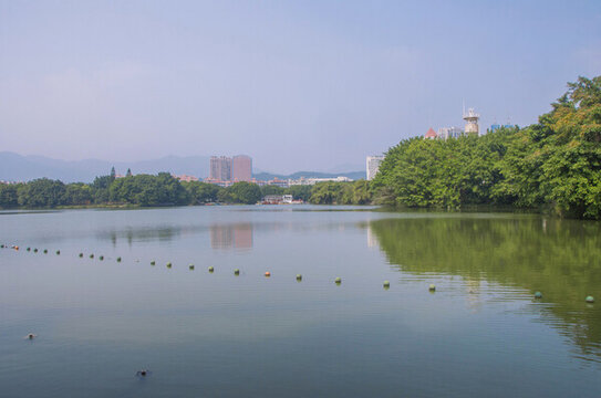 福州左海公園湖泊風(fēng)光