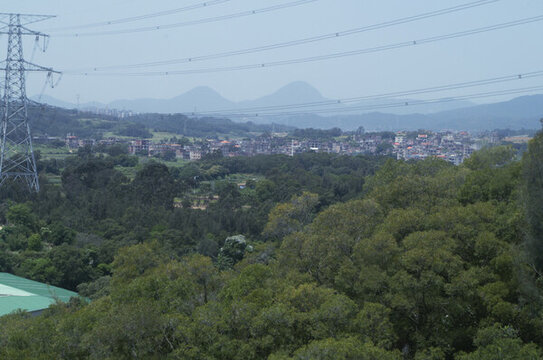 森林小鎮(zhèn)