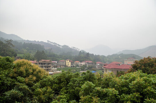 高山云霧