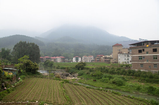 田園風(fēng)光