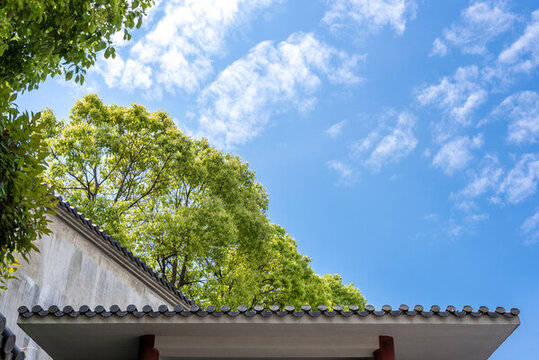 屋頂和天空