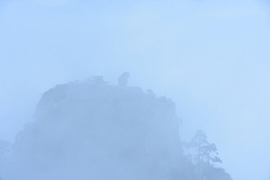 黃山旅游黃山風(fēng)光黃山美景