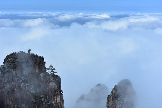 黃山旅游黃山風(fēng)光黃山美景