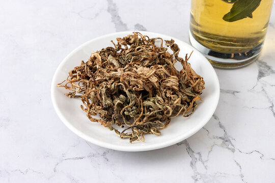 生的蒲公英干葉子泡水