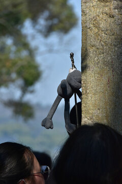 杭州西湖雷鋒塔斷橋靈隱寺