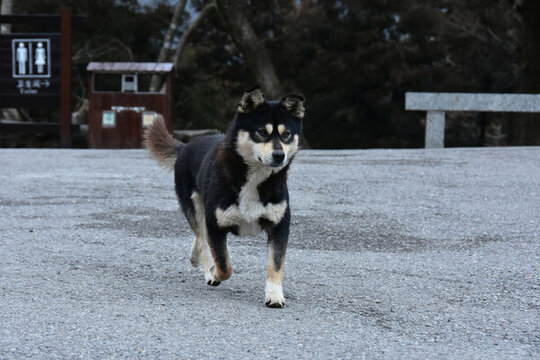 廬山風光廬山風景名勝區(qū)