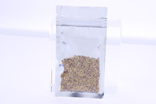 粗糧種子