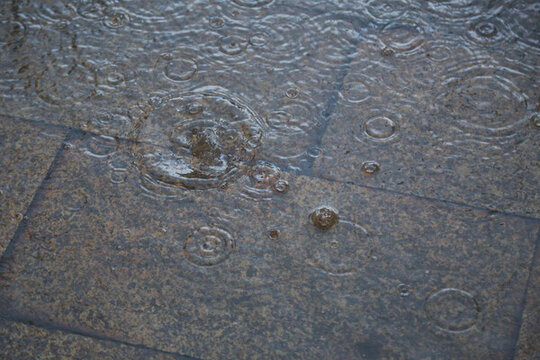雨滴動態(tài)