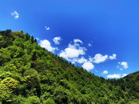 藍天青山