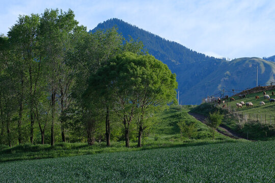 美麗山村