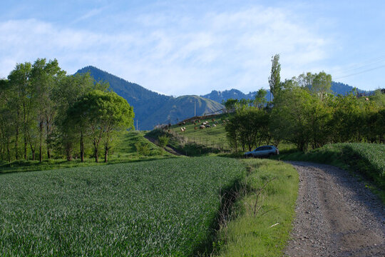 美麗山村