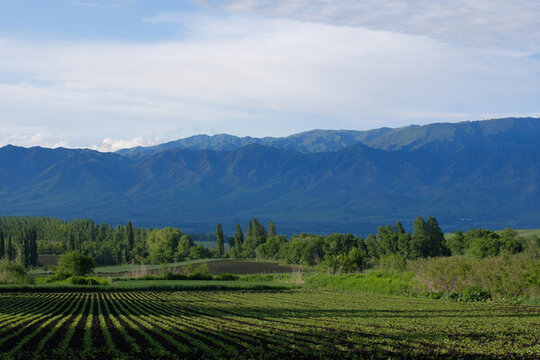 美麗山村