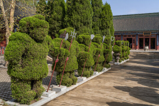 植物綠雕