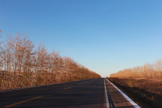 一條直行的柏油公路