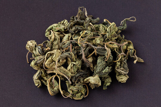 黑背景上的中藥桑葉