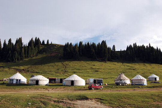 草原上有几顶白色蒙古帐篷