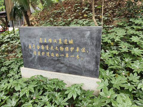 馬王堆遺跡