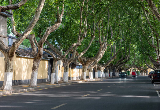 民國(guó)建筑風(fēng)格的街道