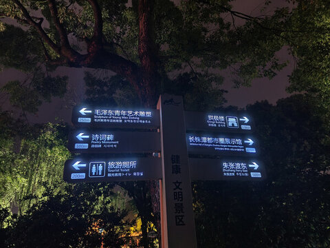 橘子洲夜游夜景