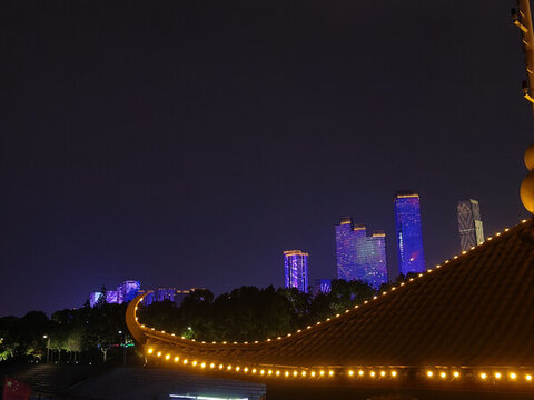 橘子洲夜游夜景