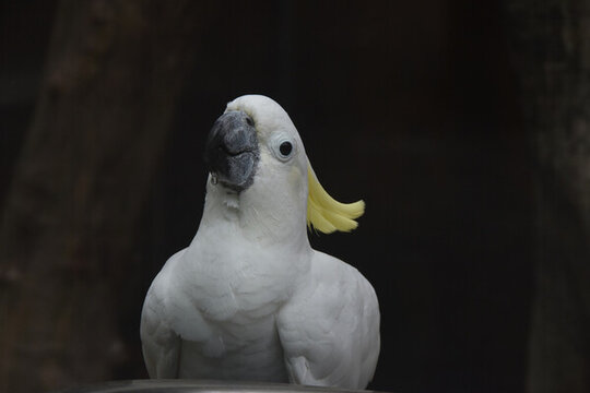 南寧動(dòng)物園