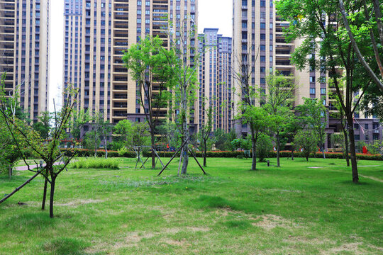 小區(qū)綠化