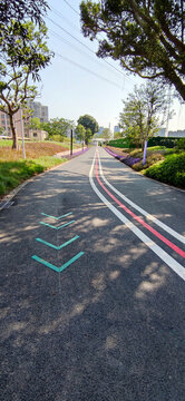 新建車行道