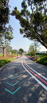 新建車(chē)行道