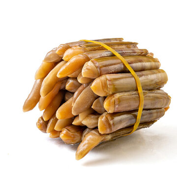 蟶子王海鮮食材