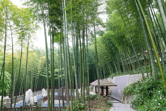 竹林公園