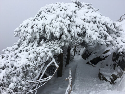 黃山雪景