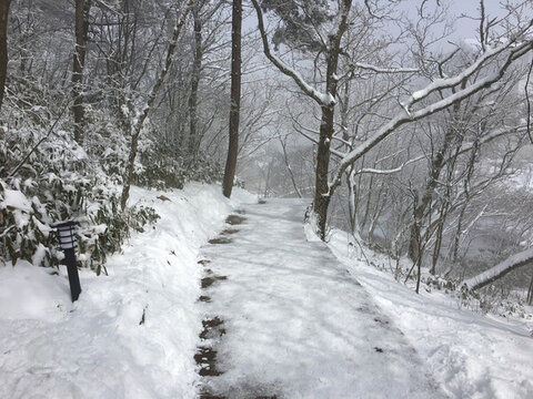 黃山雪景