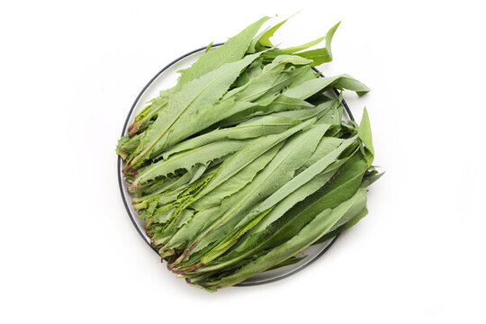 苦麥菜