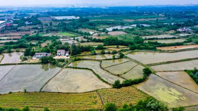 航拍農(nóng)業(yè)大棚