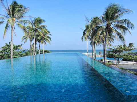 海邊泳池椰林