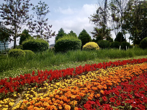 鮮花綠草鋪滿地
