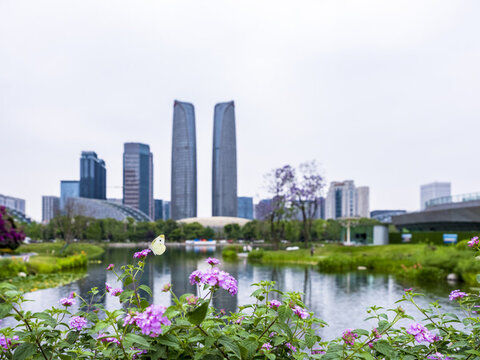 交子公園
