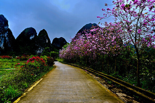 廣西舊州風(fēng)景