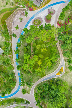 航拍城市公園園林綠化植被景觀