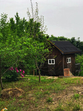 鮮花綠葉小木屋