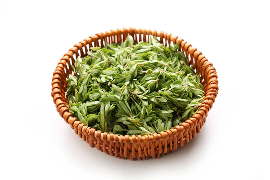 一籃子垂盆草