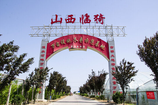 山西冬棗基地