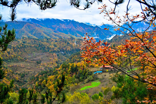 米倉山秋景