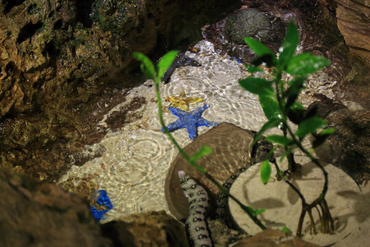 水族館