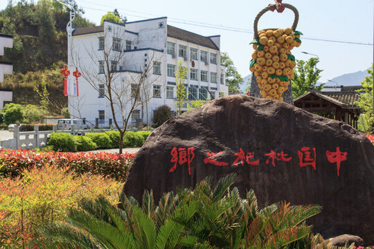 中國枇杷之鄉(xiāng)