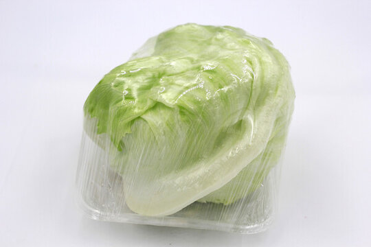 生菜