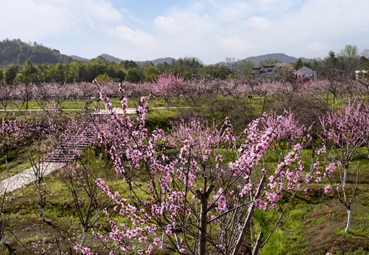 湘西桃花源風(fēng)光