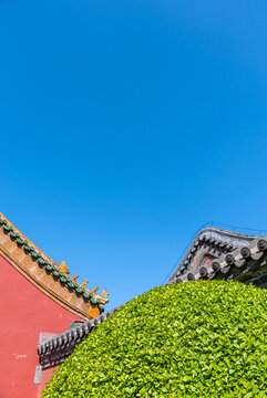 藍(lán)天下的中國(guó)沈陽(yáng)故宮古建筑